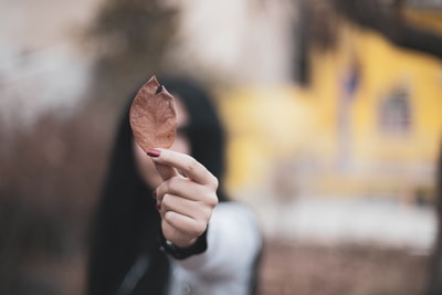 白天手持棕色圆锥体的人